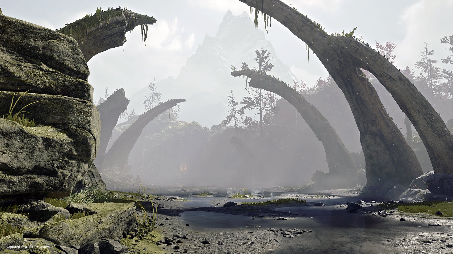 God of War 2018 - Imagen 2